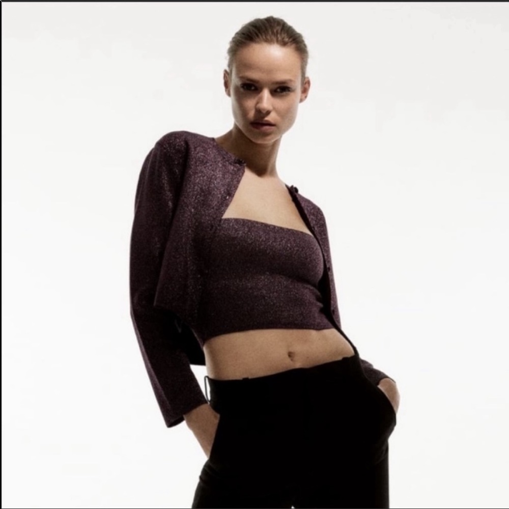 Zara crop top